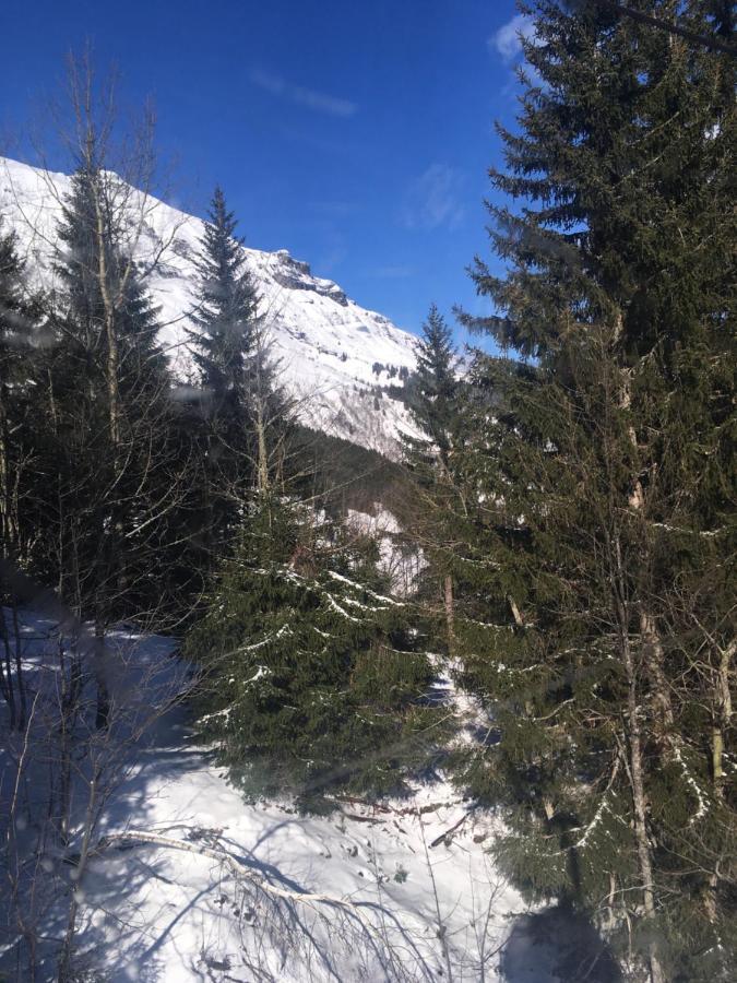 Ferienwohnung Les Pierres Blanches Mont Blanc Les Contamines-Montjoie Exterior foto